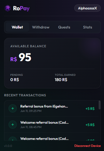 RoPay Wallet Interface